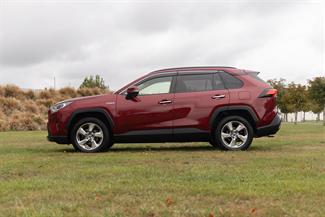 2019 Toyota RAV4 - Thumbnail